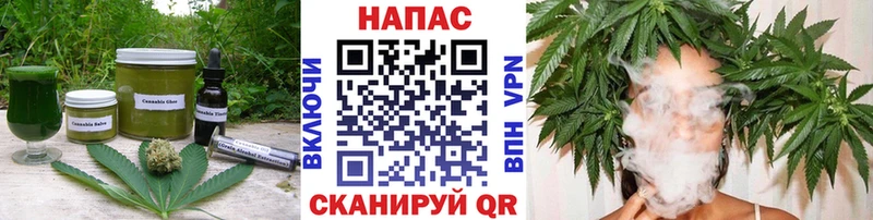 MEGA как зайти  что такое   Иркутск  Еда ТГК конопля 