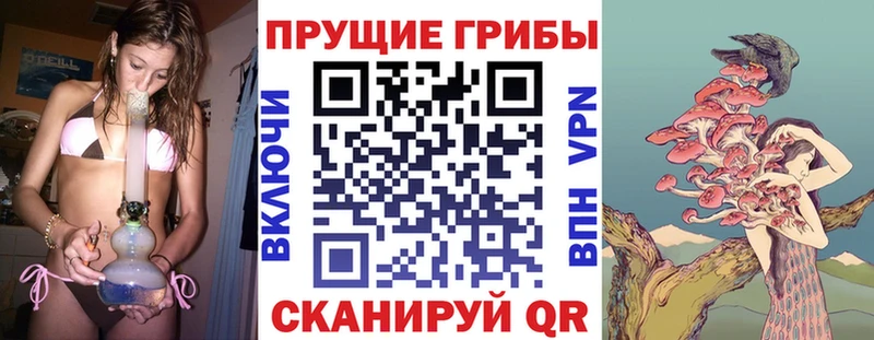 Псилоцибиновые грибы прущие грибы  Иркутск 