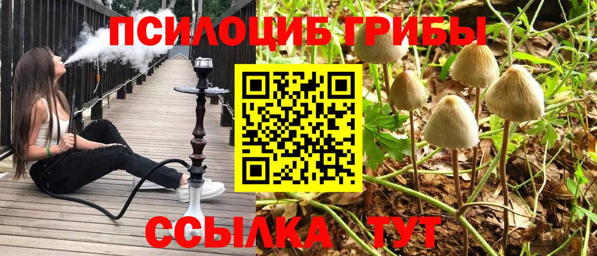 Галлюциногенные грибы Magic Shrooms Иркутск
